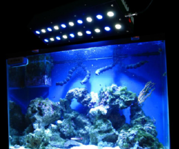 Для аквариумов