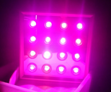 Светодиодная панель для растений 5G LED growsun 320W